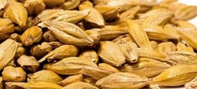barley-whole