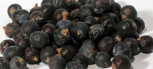 juniper_berries
