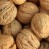 walnuts-inshell